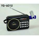  FM radio amplifier. And YUEGAN YG601 Bluetooth, fig. 1 