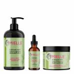  Miele Hair Care Set with Rosemary and Mint Extract - 3 Pieces, fig. 1 