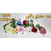  Roses - 13261B, fig. 1 