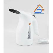  Steam iron 1x2, small, portable, fig. 1 