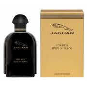  Jaguar Gold In Black perfume for men, Eau de Toilette - 100ml, fig. 1 