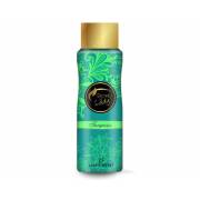  Turquoise Deodorant - Laday's Secret, fig. 1 