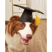  Caisang Graduation Caps For Dogs With Tassels Yellow, fig. 1 