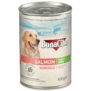  Age Adult Dog Food with Jelly Salmon, fig. 1 