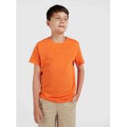  Solid Fade Resistant T-shirt with Round Neck and Short Sleeves, fig. 1 