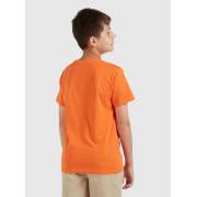  Solid Fade Resistant T-shirt with Round Neck and Short Sleeves, fig. 4 