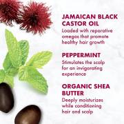  شامبو شيا مويستشر الجامياكي بزيت الخروع الاسود لتقوية ونمو الشعر - 385 مل Shea Moisture Jamaican Black Castor Oil Strengthen & Restore Shampoo, fig. 2 